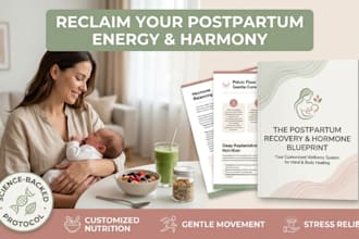 design a comprehensive postpartum recovery and hormone balancing blueprint