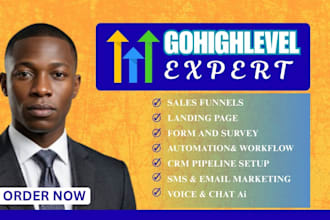 build a professional gohighlevel funnel website