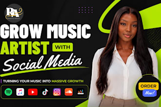 manage grow music brand with social media marketing, manager, content, strategy