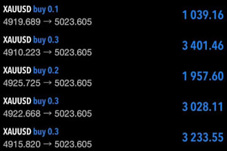 manage mt4, mt5 account management, challenge account management account manage