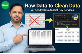 do professional data cleaning, data wrangling and preprocessing in python
