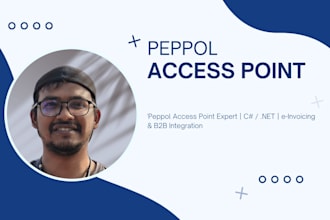 consult and develop peppol access point integrations in csharp