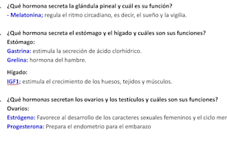 transcribe audio or video in english or spanish