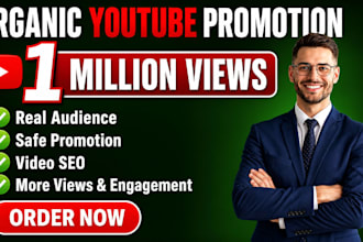 organically promote USA youtube  video SEO to over 1 million people for views