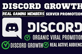 discord promotion, discord advertising, minecraft gaming server growth
