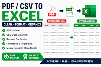 convert pdf csv and messy data into clean excel spreadsheet