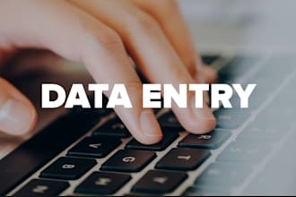 do accurate excel data entry and copy paste work