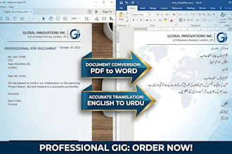 do professional document conversion PDF to word and urdu translation