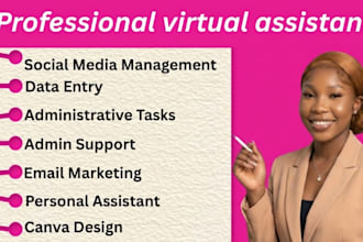 provide executive virtual assistant services remotely