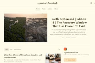 write polished content for any niche