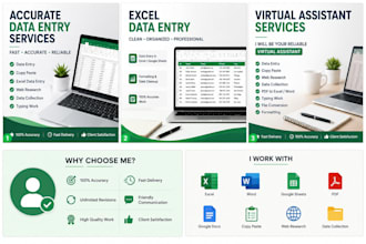accurate data entry, copy paste, and excel work