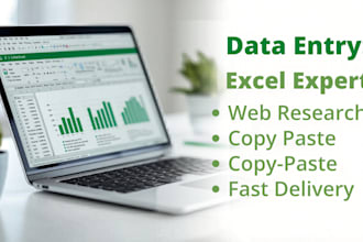 excel data entry and web research, admin support, emails