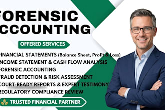 prepare ifrs gaap financial statements and perform financial audit