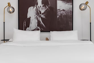give you an interior design consultation and action plan
