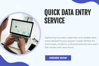 do data entry microsoft excel