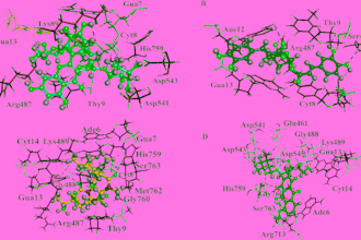 perform professional molecular docking and cadd studies