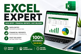 do professional excel data entry, financial analysis and reports