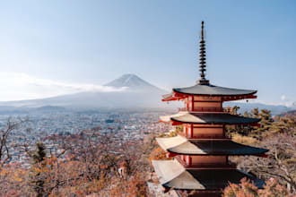 translate english to japanese professionally