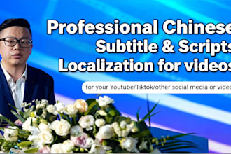 translate english video subtitles and scripts into chinese