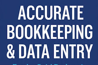 do accurate bookkeeping and excel data entry for your business