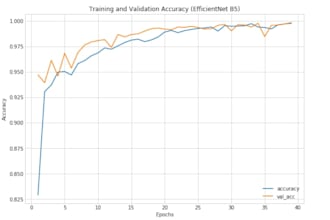 help with ai machine learning and python projects