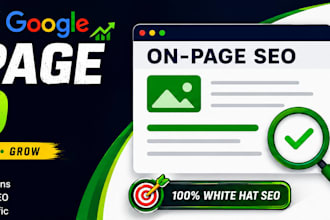 fix on page SEO issues and improve website performance