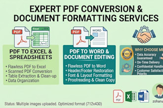 do expert PDF conversion and document formatting