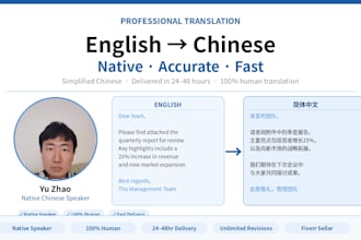 provide professional native english to simplified chinese translation