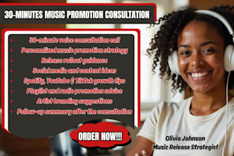 offer 30 minutes music promotion strategy consultation for your songs