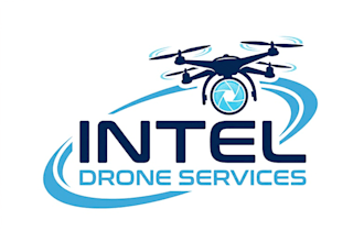 design a professional drone logo