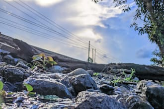 edit aesthetic nature photos