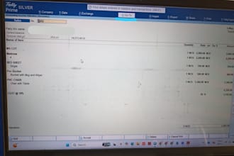 do accurate excel data entry, accounting and invoice work