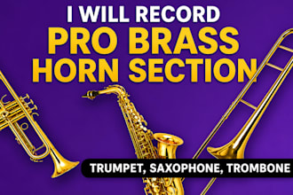 record pro brass horn section trumpet, saxophone, trombone, mandolin