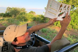 customize your dream african safari experience