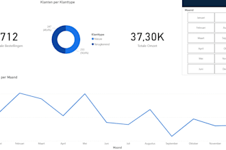 create a professional power bi dashboard for your business