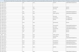 create excel spreadsheets, formulas, and automation for your business