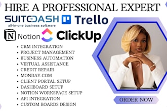 set up notion, clickup, trello monday and suitedash for seamless automation