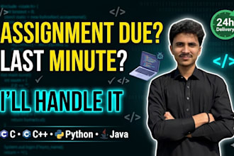 do coding assignments, code review, app and game development