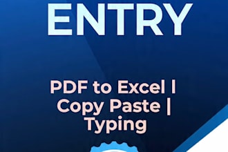 do fast data entry, PDF to excel, copy paste, typing in 24hr