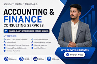 do professional financial analysis, and excel dashboards