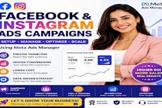 setup and manage facebook ads campaigns instagram ads fb meta ads manager