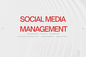 be your social media assistant and content support