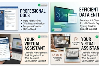 do professional data entry, web research and technical IT support
