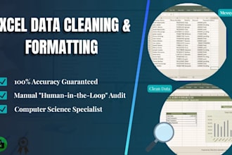 provide professional data cleansing and manual data entry