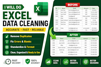 clean, organize and format your messy excel data