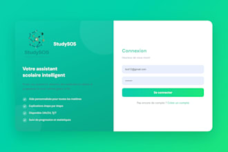 build an attractive, modern and functioning web site