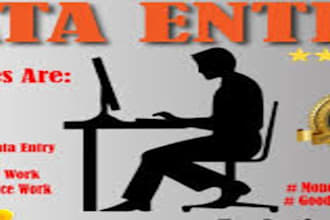 perform web research and crm data entry