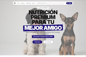 design an interactive and modern website or app UI UX