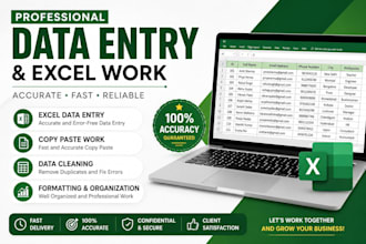 professional excel data entry and spreadsheet work