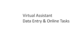 assist with data entry and online tasks